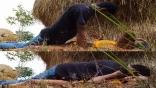 Desi gaon ki randiyon ka khula ashiqana chudai ka mms Sex Video