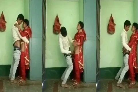 Desi Bhabhi standing sex with young Devar