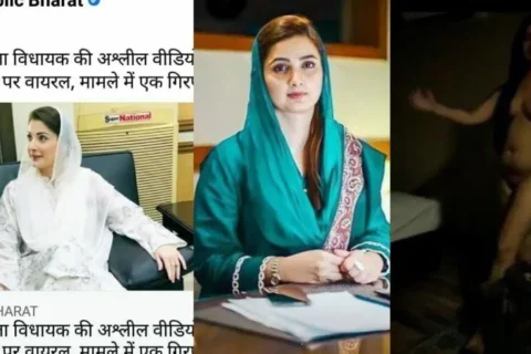 New Latest Pakistani MLA Viral All Videos Collection