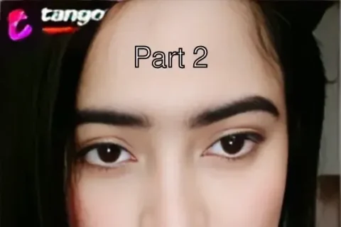 Moon Tango Private Show Saree Tease See Through Part 2 Sex Video