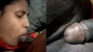 Secret Desi Village Wifes Hot Private Romance Exposed Sex Video