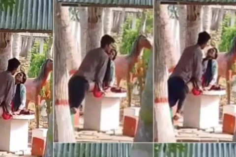Lovers Fucking In Park