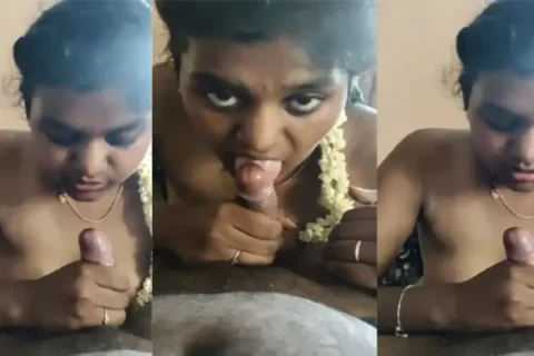 Desi Tamil Girls Secret Steamy Blowjob in Private Sex Video