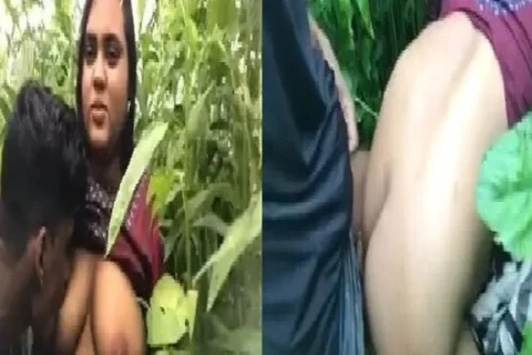 Big Boobs Feeding Girlfriend Outdoor Sex MMS