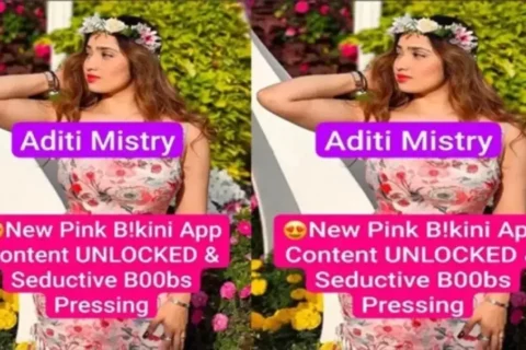 Desi Girl Aditi Mistrys Secret Hot Bikini Romance Video Sex Video