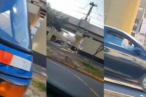 Fuck Under The Bridge On The Moving Road Porn