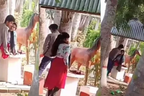 Desi Tamil College Lovers Fucking Hard In Park