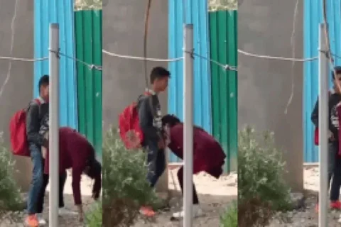 Naughty College Girl Quick Blowjob Doggy Outside College Caught