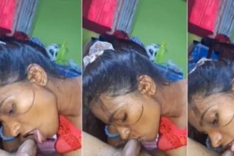 Horny Wife Sucking Dick Sex Video XXX