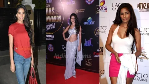Actress Poonam Pandey Saree Trip Nude Video