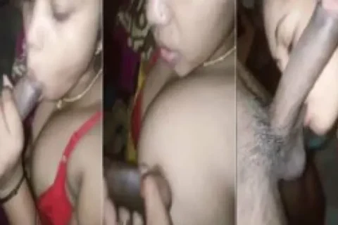 Beautiful sexy Bhabhi sucking dick nicely