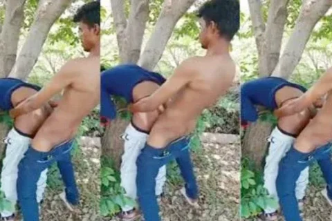 Cousin Sister Tree Sex Outdoor Viral Xxx